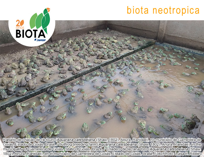 Logomarca do periódico: Biota Neotropica
